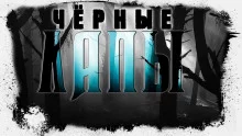 постер аудиокниги Чёрные лапы