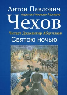 постер аудиокниги Святою ночью