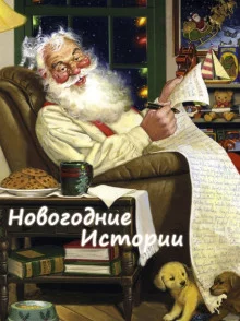постер аудиокниги Новогодние истории