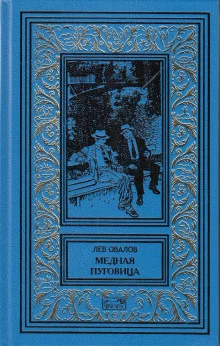 постер аудиокниги Медная пуговица