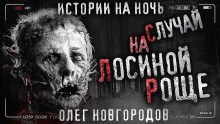 постер аудиокниги Случай на Лосиной Роще