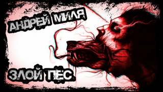 Злой пес, которого не смогли найти - Миля Андрей