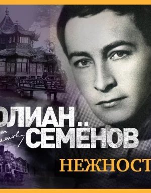 постер аудиокниги Штирлиц 3. Нежность - Юлиан Семенов
