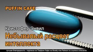 Небывалый расцвет интеллекта - Кристофер Энвил