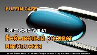 постер аудиокниги Небывалый расцвет интеллекта - Кристофер Энвил