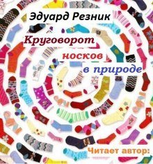 постер аудиокниги Круговорот носков в природе