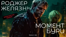 постер аудиокниги Момент бури