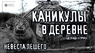 постер аудиокниги Невеста лешего - Аделаида Агурина