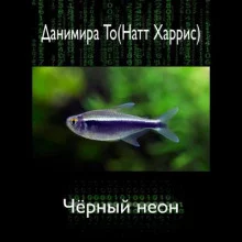 постер аудиокниги Чёрный неон