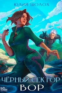 постер аудиокниги Чёрный сектор 4. Вор - Юлия Шолох