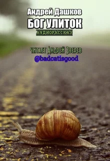 постер аудиокниги Бог улиток