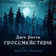 постер аудиокниги Гроссмейстеры