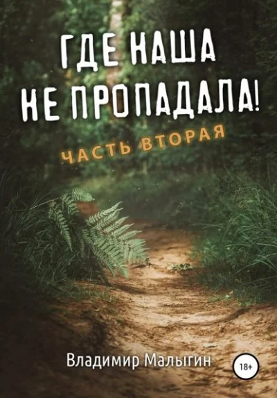 постер аудиокниги Где наша не пропадала! Часть 2 - Владимир Малыгин