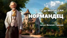постер аудиокниги Нормандец