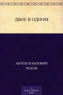 постер аудиокниги Двое в одном