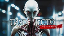 постер аудиокниги Тихое место