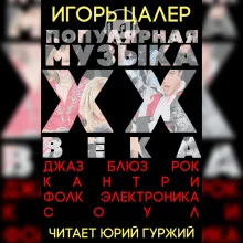 постер аудиокниги Популярная музыка ХХ века: джаз, блюз, рок, кантри, фолк, электроника, соул