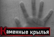 постер аудиокниги Каменные крылья