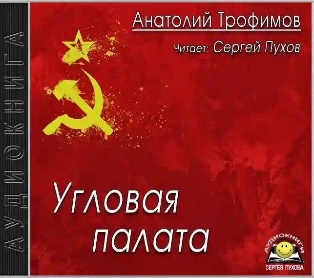 постер аудиокниги Угловая палата