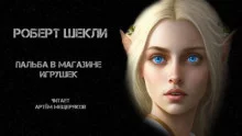 постер аудиокниги Пальба в магазине игрушек