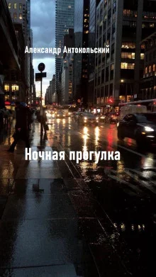 постер аудиокниги Ночная прогулка