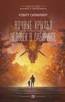 постер аудиокниги Человек в лабиринте