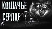 постер аудиокниги Кошачье сердце