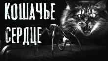 постер аудиокниги Кошачье сердце