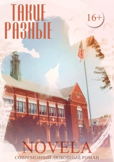 постер аудиокниги Такие разные - Novela