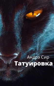 постер аудиокниги Татуировка