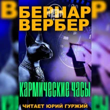 постер аудиокниги Кармические часы