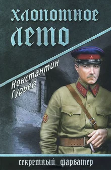 постер аудиокниги Хлопотное лето