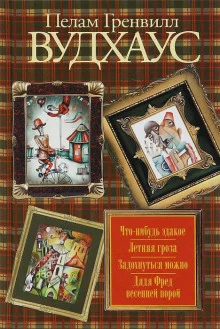 постер аудиокниги Летняя гроза