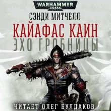 постер аудиокниги Эхо гробницы