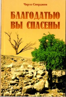 постер аудиокниги Благодатью вы спасены