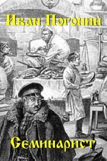 постер аудиокниги Семинарист