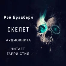 постер аудиокниги Скелет