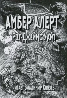 постер аудиокниги Амбер Алерт