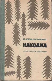 постер аудиокниги Находка