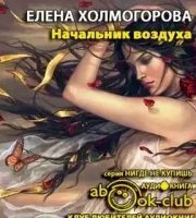 Начальник воздуха - Елена Холмогорова