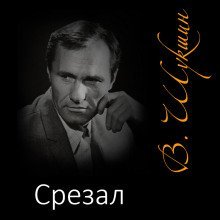 постер аудиокниги Срезал