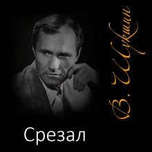 постер аудиокниги Срезал