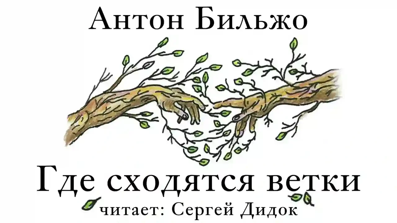 постер аудиокниги Где сходятся ветки