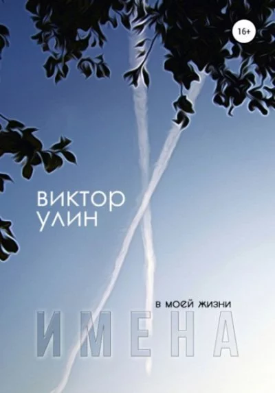 постер аудиокниги Имена - Виктор Улин