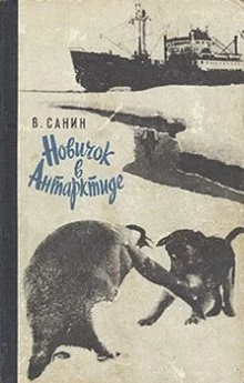 постер аудиокниги Новичок в Антарктиде. Полярные были