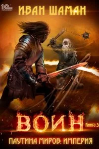 постер аудиокниги Паутина миров 3. Воин - Иван Шаман