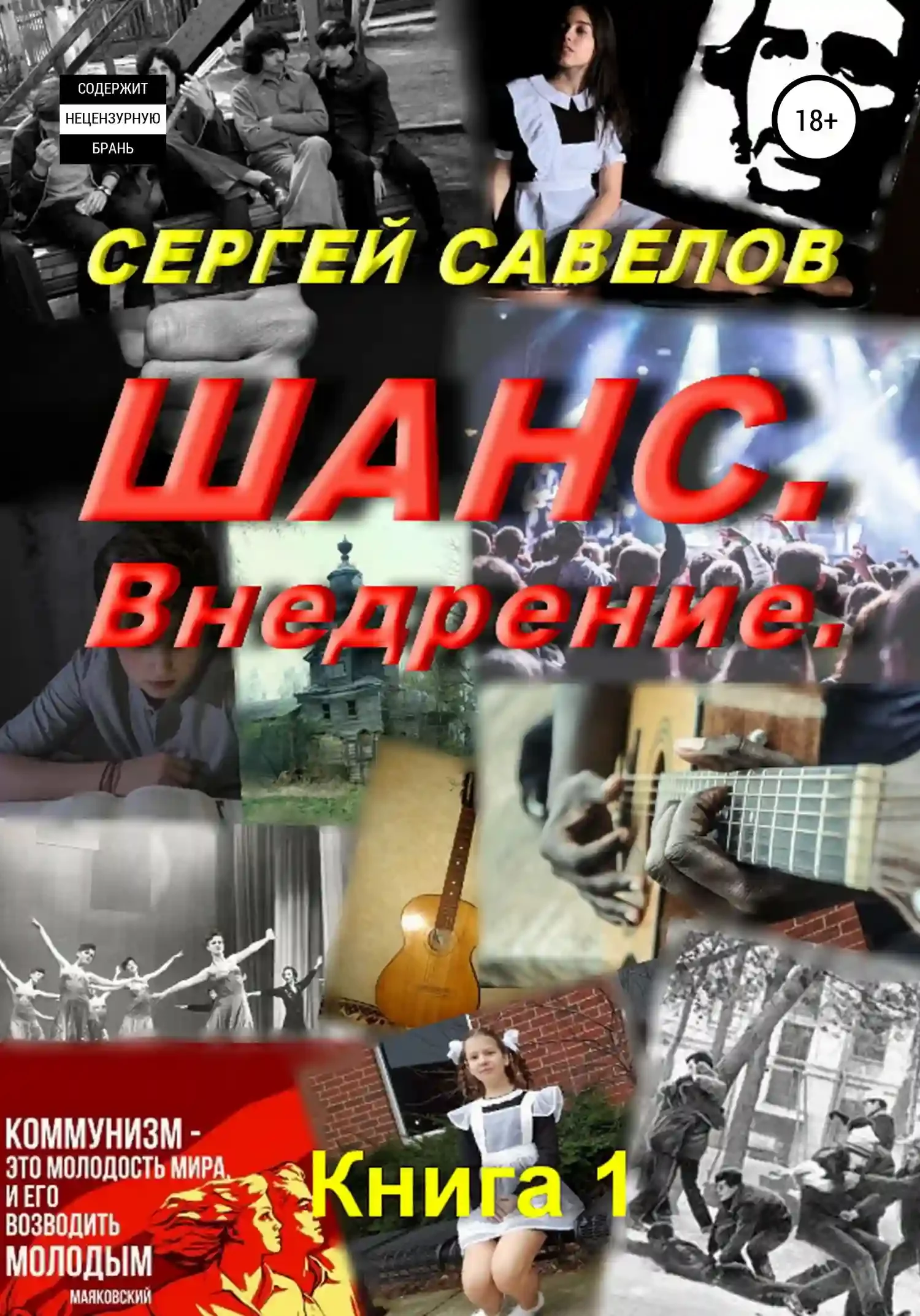 постер аудиокниги Шанс. Внедрение. (Я в моей голове). Книга 1