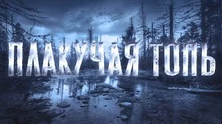 постер аудиокниги Плакучая топь - Собиратель тайн