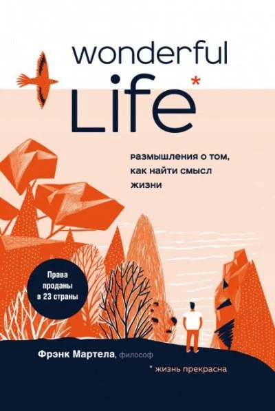 постер аудиокниги Wonderful Life. Размышления о том, как найти смысл жизни - Фрэнк Мартела