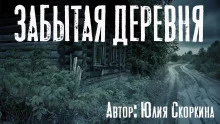 постер аудиокниги Забытая деревня